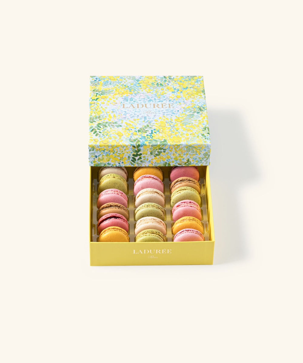 Coffret de 18 macarons "Mimosa"