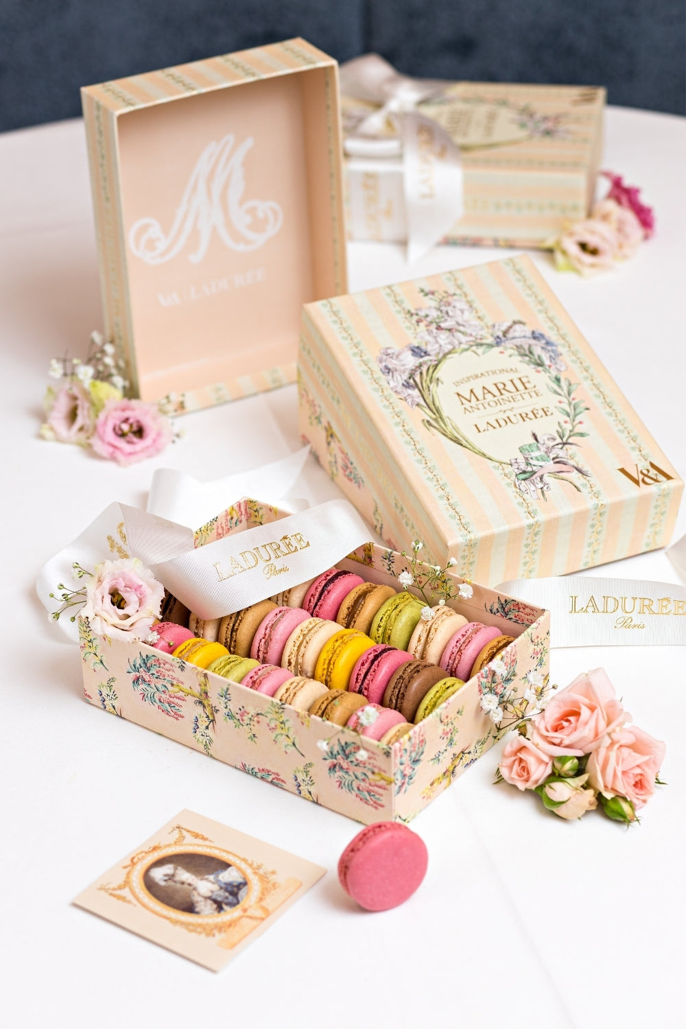 Coffret de 16 macarons "Marie-Antoinette" - Image 4